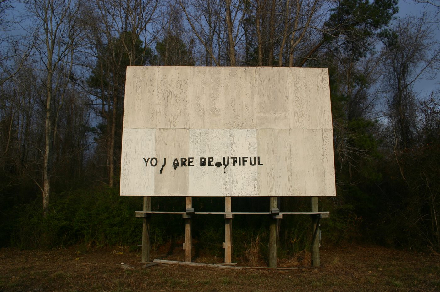 A hand-lettered plywood billboard standing on wooden legs in bare winter woodland, reading YOU ARE BEAUTIFUL, a few of the letters fallen away.